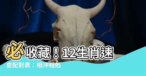 豬龍鼠馬什麼意思|12 生肖配對的三合，六合，沖六，守衛保護六